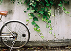 休闲、意境、唯美、有故事的自行车